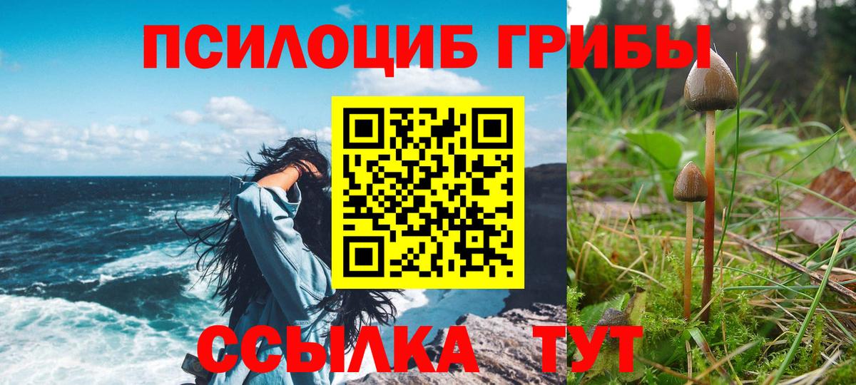 Саранск  Псилоцибиновые грибы GOLDEN TEACHER  Вход с VPN 